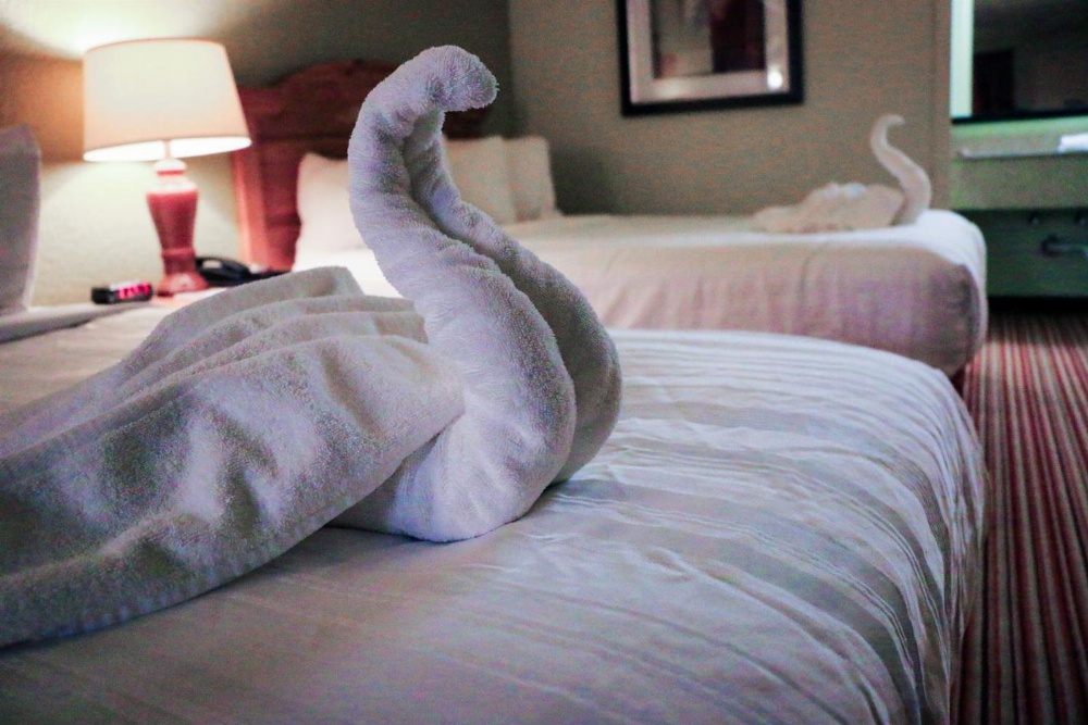 Room image 2